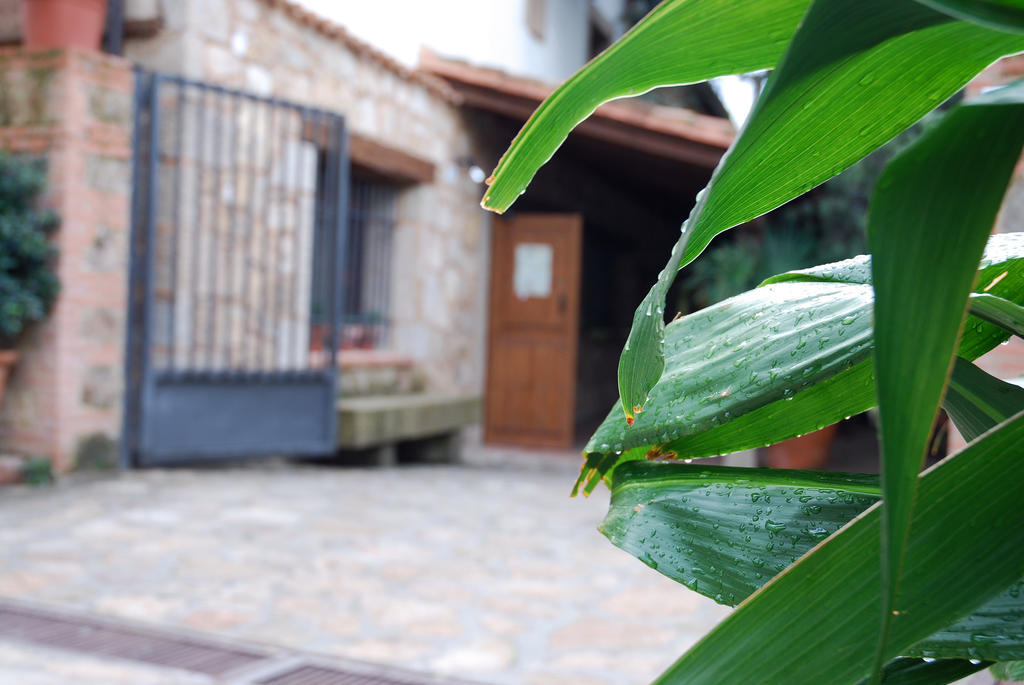 Hostal El Cardenillo Madrigal de la Vera Eksteriør billede